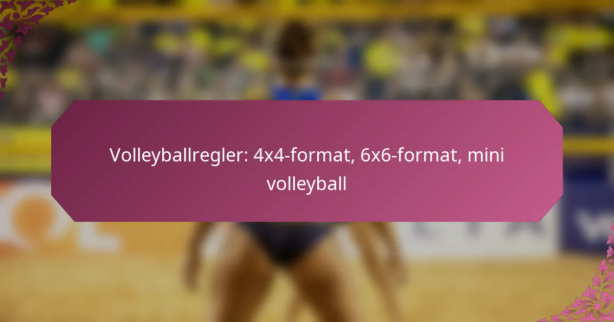 featured-image-volleyballregler-44-format-66-format-mini-volleyball