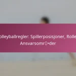 Volleyballregler: Spillerposisjoner, Roller, Ansvarsområder