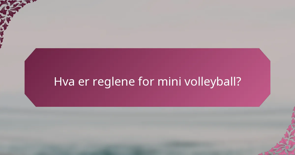 Hva er reglene for mini volleyball?